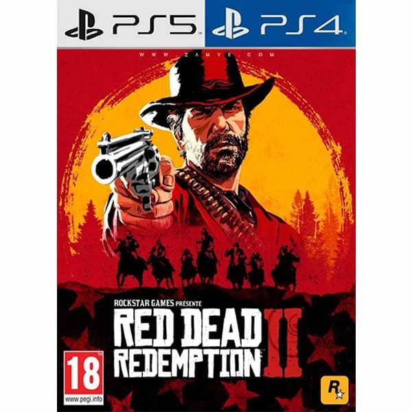 Red Dead Redemption 2 for PS4 PS5 Digital or Physical Game from zamve.com