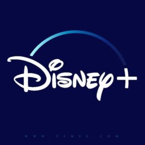 Disney Plus Subscription from Zmave Online Subscription Shop BD by zamve.com