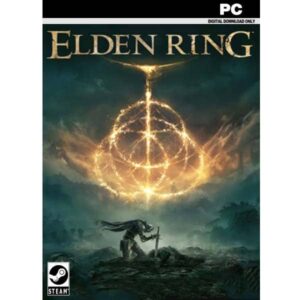 Elden Ring pc game steam key from zamve.com