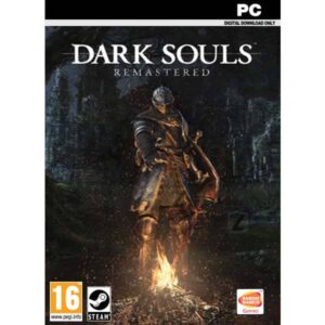 Dark Souls Remastered pc game steam key from zamve.com