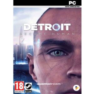 Detroit- Become Human pc game steam key from zamve.com