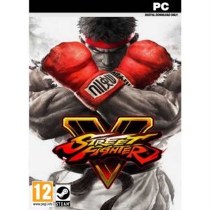 Street Fighter V pc game steam key from zamve.com