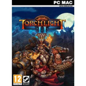 Torchlight II pc game steam key from zamve.com