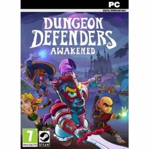 Dungeon Defenders- Awakened pc game steam key from zamve.com