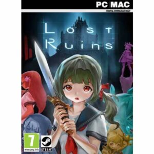 Lost Ruins pc game steam key from zamve.com